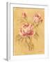 Rose II-Cheri Blum-Framed Art Print