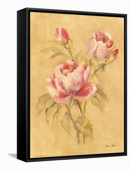 Rose II-Cheri Blum-Framed Stretched Canvas