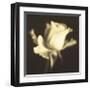 Rose Impression I-Jane Ann Butler-Framed Giclee Print