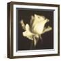 Rose Impression I-Jane Ann Butler-Framed Giclee Print