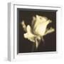 Rose Impression I-Jane Ann Butler-Framed Giclee Print