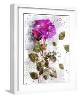 Rose in Bloom II-Chamira Young-Framed Art Print