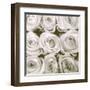 Rose In Bloom Square-Gail Peck-Framed Art Print