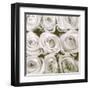 Rose In Bloom Square-Gail Peck-Framed Art Print