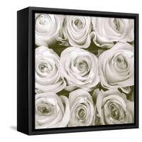 Rose In Bloom Square-Gail Peck-Framed Stretched Canvas