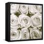 Rose In Bloom Square-Gail Peck-Framed Stretched Canvas