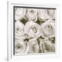 Rose In Bloom Square-Gail Peck-Framed Art Print