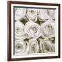 Rose In Bloom Square-Gail Peck-Framed Art Print