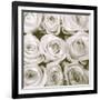 Rose In Bloom Square-Gail Peck-Framed Art Print