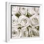 Rose In Bloom Square-Gail Peck-Framed Art Print