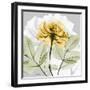 Rose in Gold 3-Albert Koetsier-Framed Photographic Print