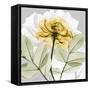 Rose in Gold 3-Albert Koetsier-Framed Stretched Canvas