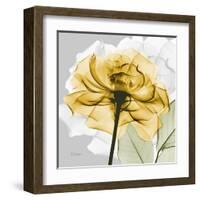 Rose in Gold 4-Albert Koetsier-Framed Art Print