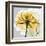 Rose in Gold 4-Albert Koetsier-Framed Art Print