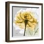 Rose in Gold 4-Albert Koetsier-Framed Art Print