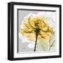 Rose in Gold 4-Albert Koetsier-Framed Art Print