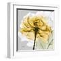 Rose in Gold 4-Albert Koetsier-Framed Art Print