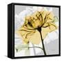 Rose in Gold 5-Albert Koetsier-Framed Stretched Canvas