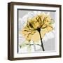 Rose in Gold 5-Albert Koetsier-Framed Art Print