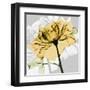 Rose in Gold 5-Albert Koetsier-Framed Art Print