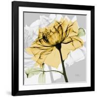 Rose in Gold 5-Albert Koetsier-Framed Art Print