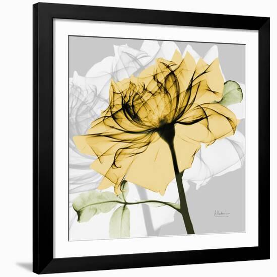 Rose in Gold 5-Albert Koetsier-Framed Art Print