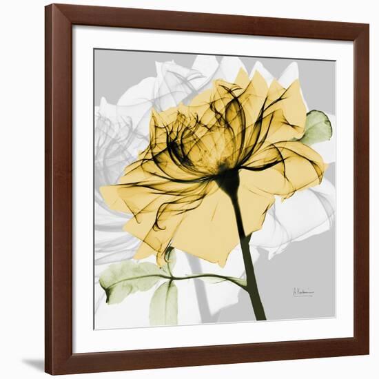 Rose in Gold 5-Albert Koetsier-Framed Art Print