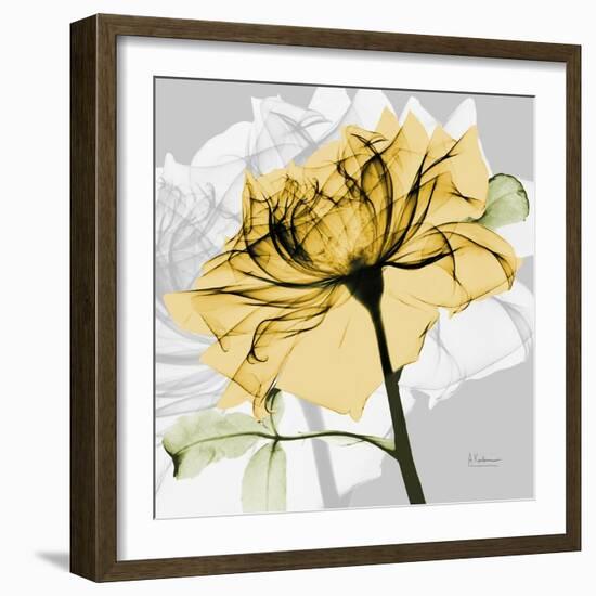 Rose in Gold 5-Albert Koetsier-Framed Art Print
