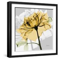 Rose in Gold 5-Albert Koetsier-Framed Art Print