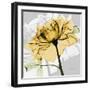 Rose in Gold 5-Albert Koetsier-Framed Art Print