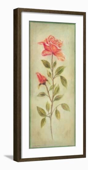 Rose In Green I-Lewman Zaid-Framed Art Print