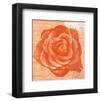 Rose in Orange-Anna Flores-Framed Art Print