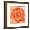 Rose in Orange-Anna Flores-Framed Art Print