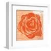 Rose in Orange-Anna Flores-Framed Art Print