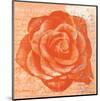 Rose in Orange-Anna Flores-Mounted Art Print