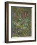 Rose in Shadow-Susan Ryder-Framed Giclee Print