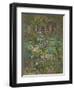 Rose in Shadow-Susan Ryder-Framed Giclee Print