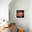 Rose Just Joey-Magda Indigo-Framed Photographic Print displayed on a wall