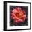 Rose Lantern-null-Framed Art Print