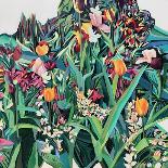 The Tulips-rose lascelles-Giclee Print