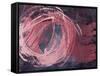 Rose Light II-Charles McMullen-Framed Stretched Canvas