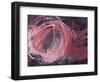 Rose Light II-Charles McMullen-Framed Art Print