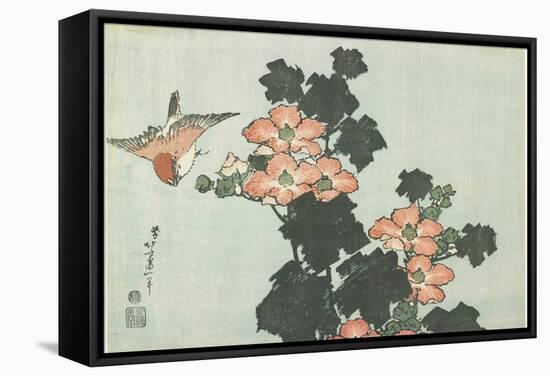 Rose Mallow and Sparrow, C. 1832-Katsushika Hokusai-Framed Stretched Canvas