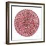 Rose Mandala-Yvette St. Amant-Framed Art Print