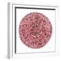 Rose Mandala-Yvette St. Amant-Framed Art Print