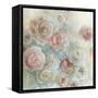 Rose Mist I-Carol Robinson-Framed Stretched Canvas