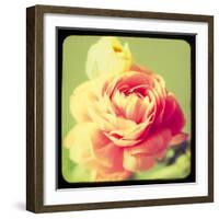 Rose Mist-Irene Suchocki-Framed Giclee Print