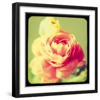 Rose Mist-Irene Suchocki-Framed Giclee Print