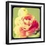 Rose Mist-Irene Suchocki-Framed Giclee Print