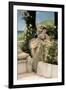 Rose of All Roses-Sir Lawrence Alma-Tadema-Framed Giclee Print